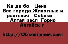 Ка де бо › Цена ­ 25 - Все города Животные и растения » Собаки   . Алтай респ.,Горно-Алтайск г.